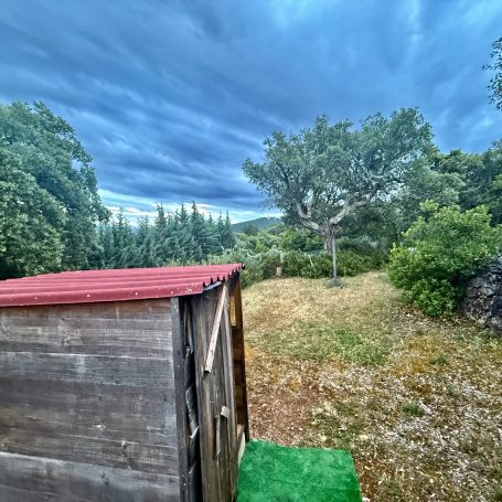 Tawny Owl Hide, Cáceres